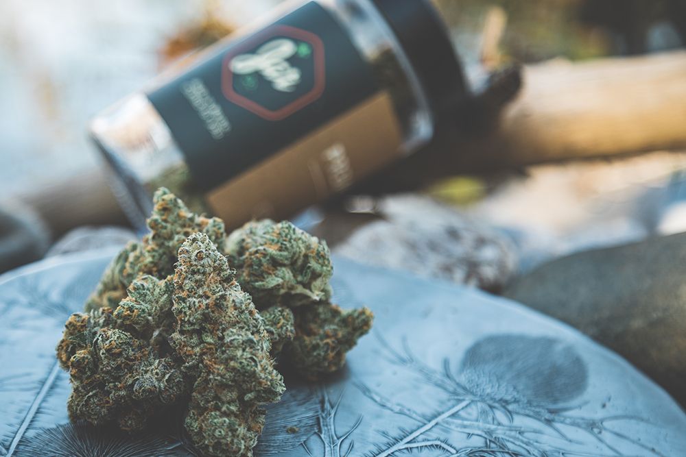 Silver Kush Lifestyle00008 2