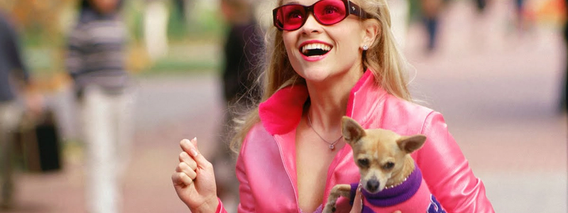 The best college movies of all time