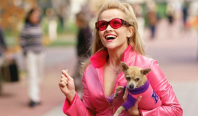 The best college movies of all time