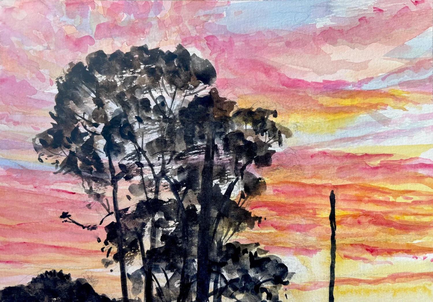 Eucalyptus Sunset