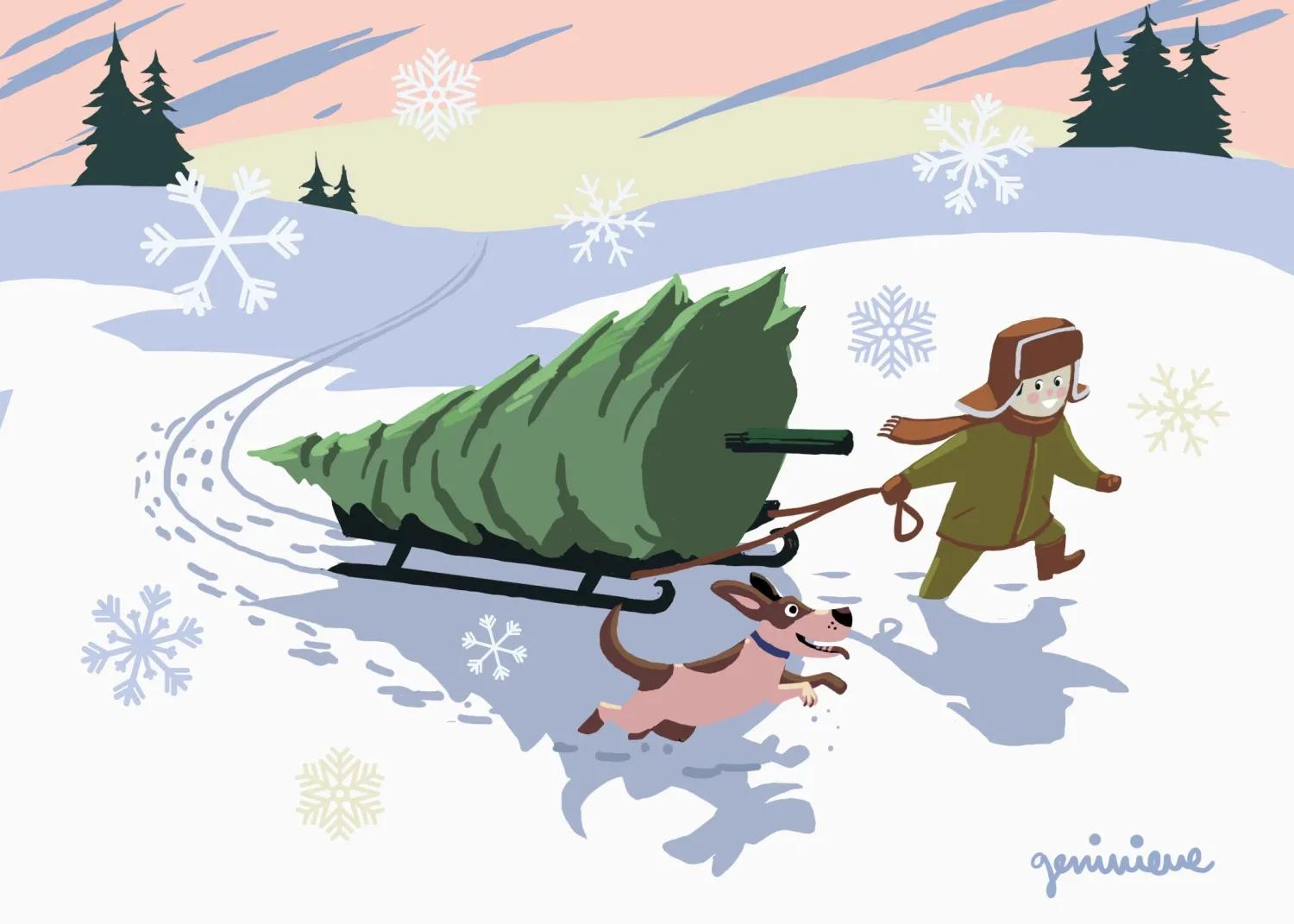 Christmas Tree Hunters