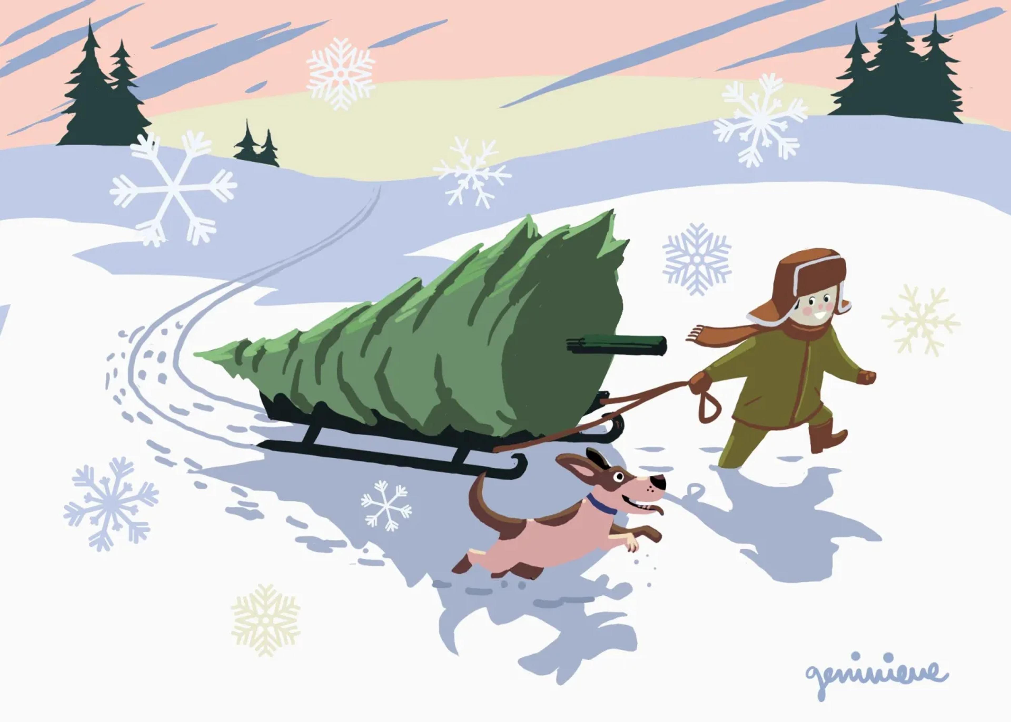 Christmas Tree Hunters