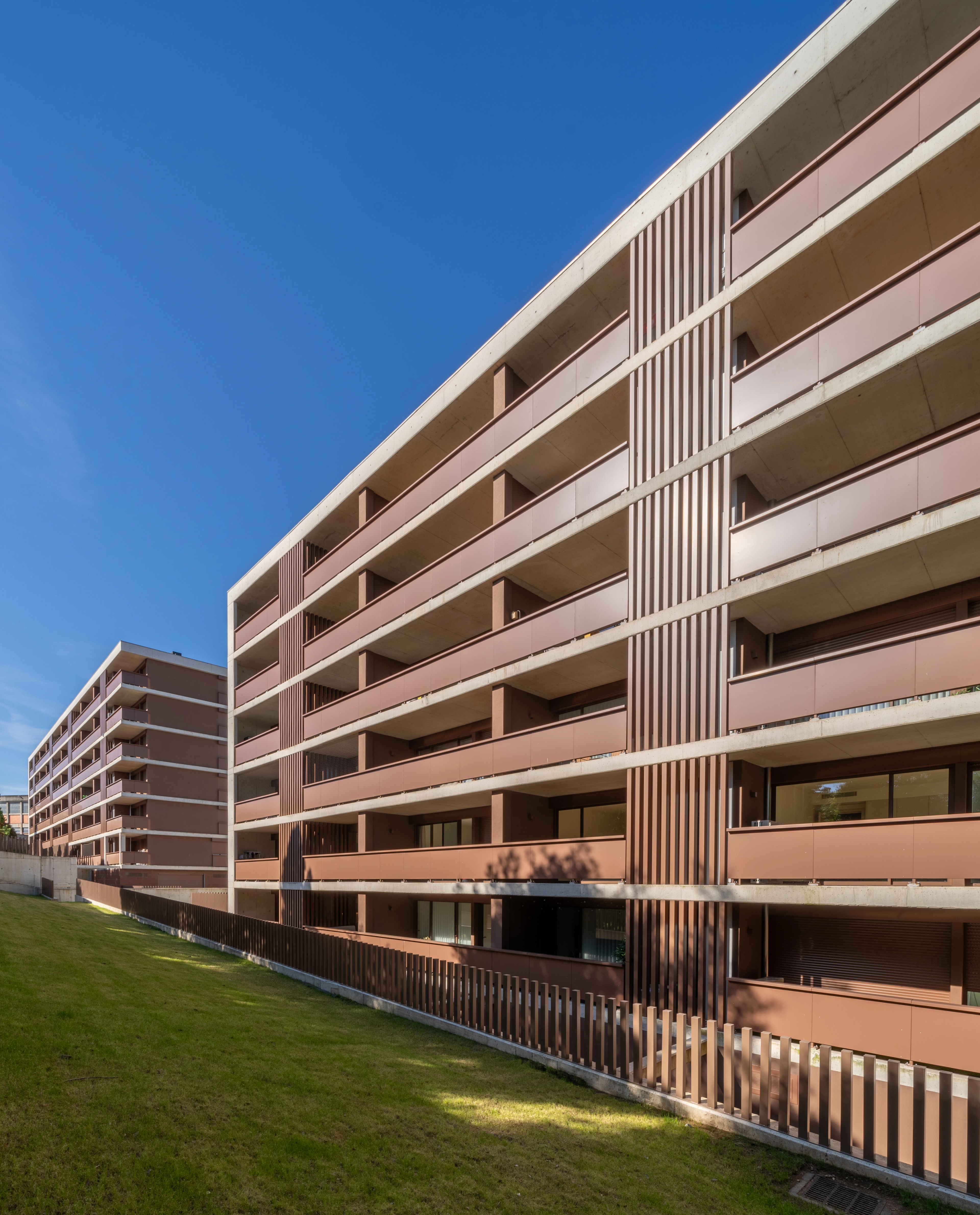 MAGNOLIA 8