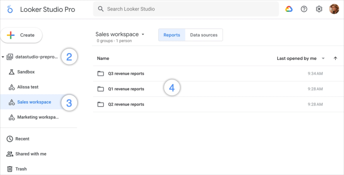 For enough money, you can make Looker into Google Drive.
