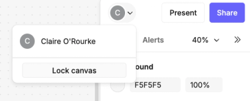 Locking the canvas to prevent edits