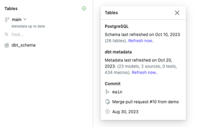 When dbt metadata is available, a checkmark is displayed.