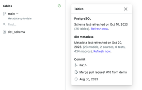 When dbt metadata is available, a checkmark is displayed.