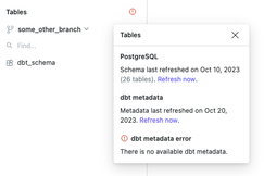 When no dbt metadata is available, an error is displayed.