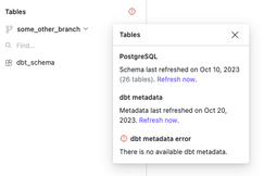 When no dbt metadata is available, an error is displayed.