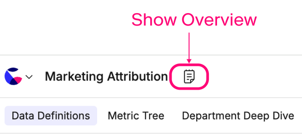 How to show the Overview panel in Present view