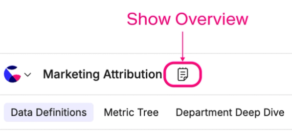How to show the Overview panel in Present view