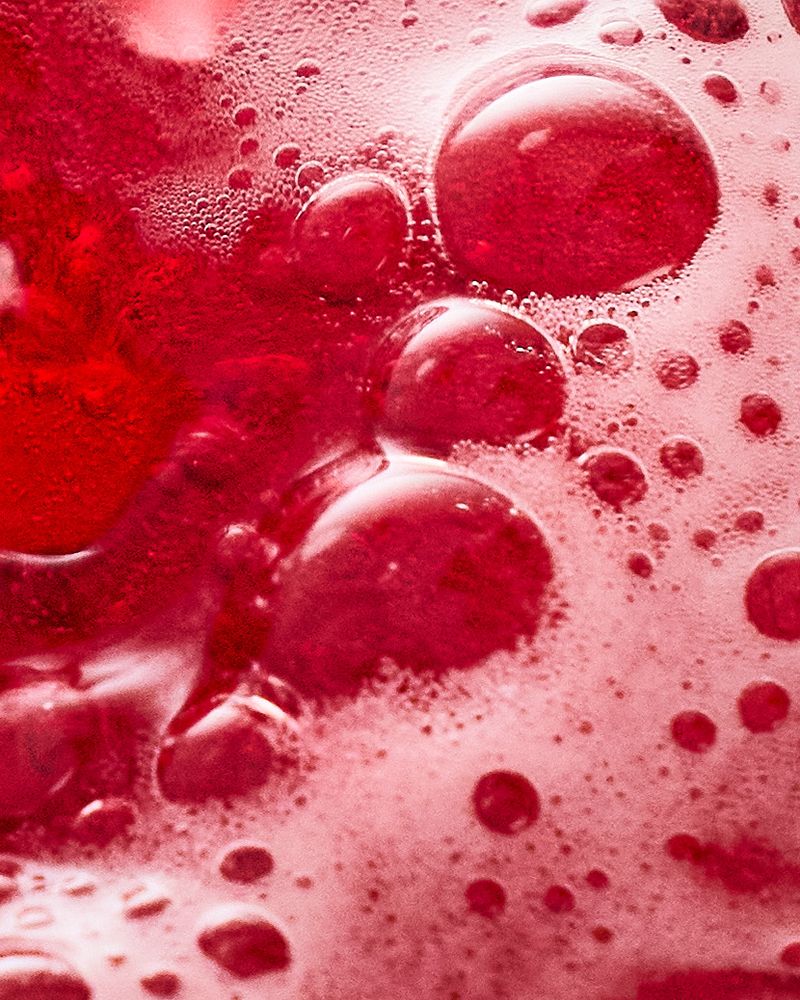 Close-up of the red, bubbly surface of Villbrygg Fjell – a non-alcoholic, fermented drink made with berries and wild botanicals.