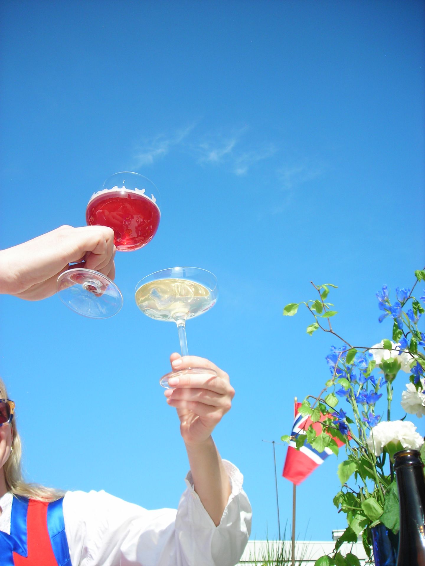 Villbrygg Skog Fjell Alkoholfri drikke til 17 mai 