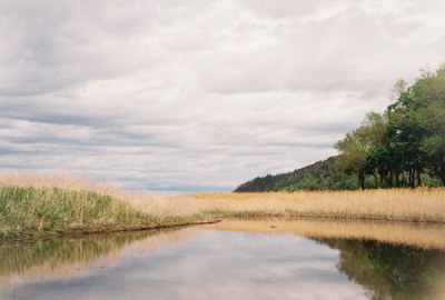 landskap
