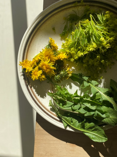 Bilde av ville vekster på en tallerken – løvetannblomster, løvetannblader og lønneblomster. Naturen er full av spennende smaker!