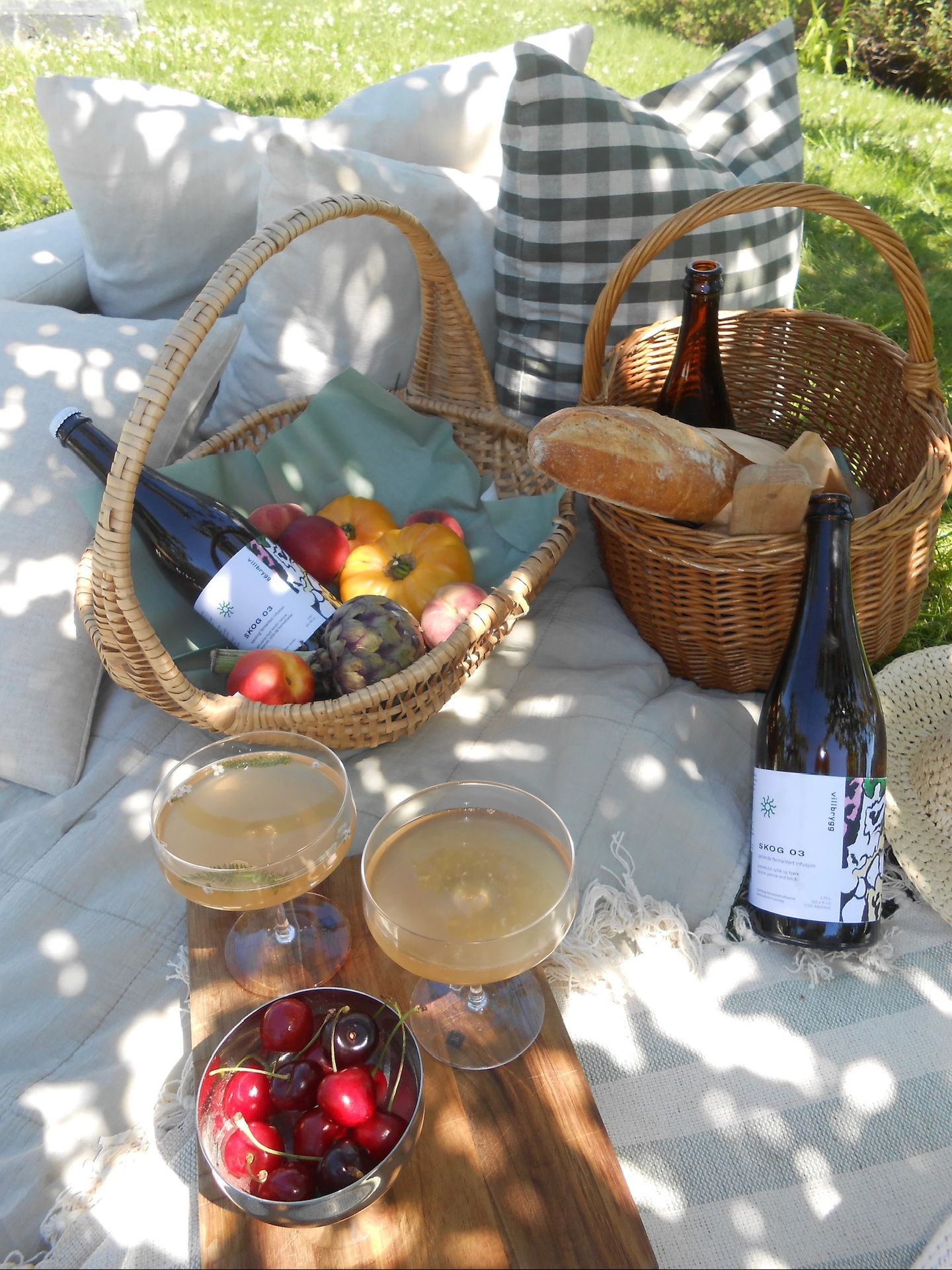 Piknik med Villbrygg og SKOG 03