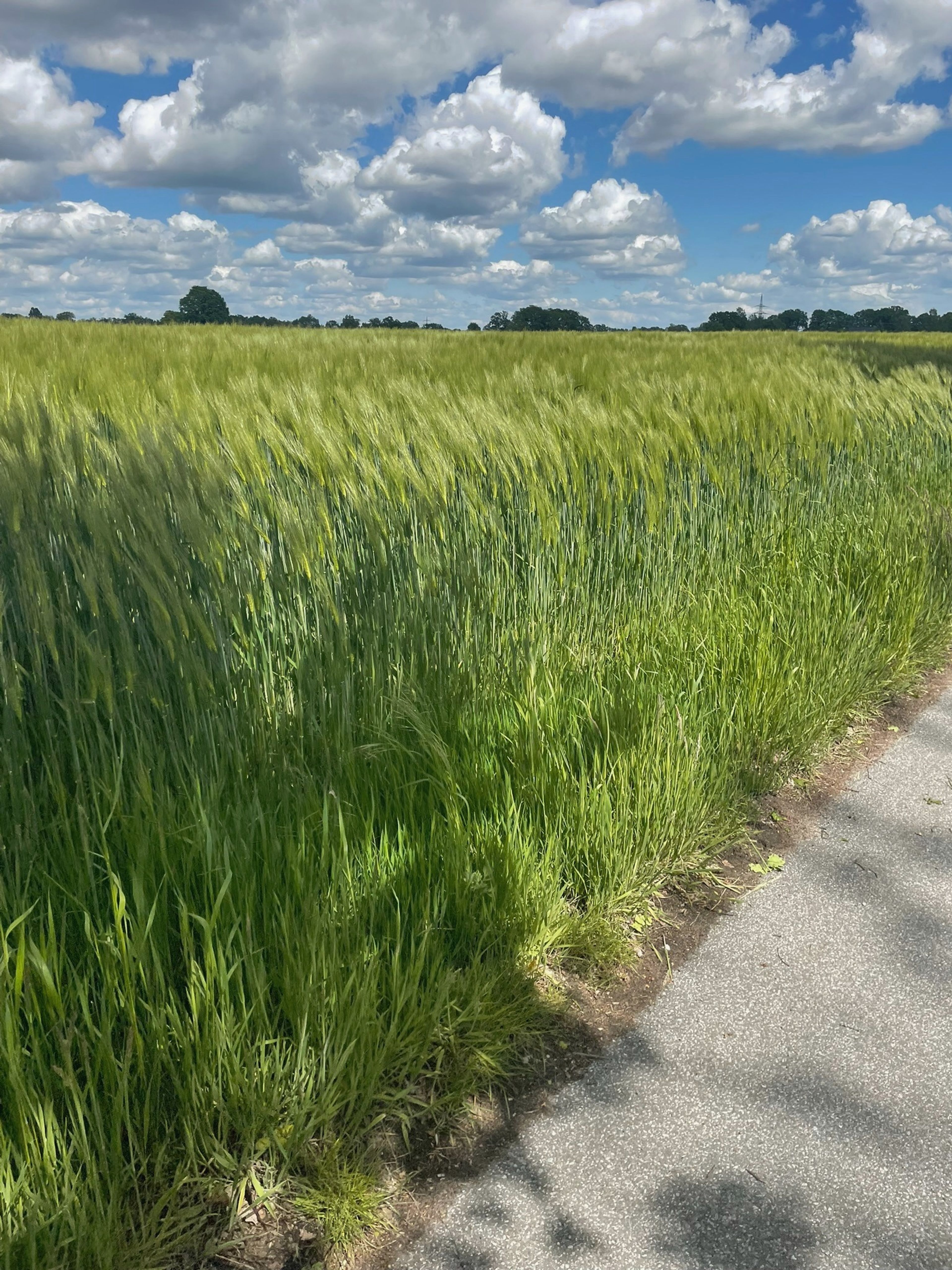 Rennrad Tour #1 Bild 8