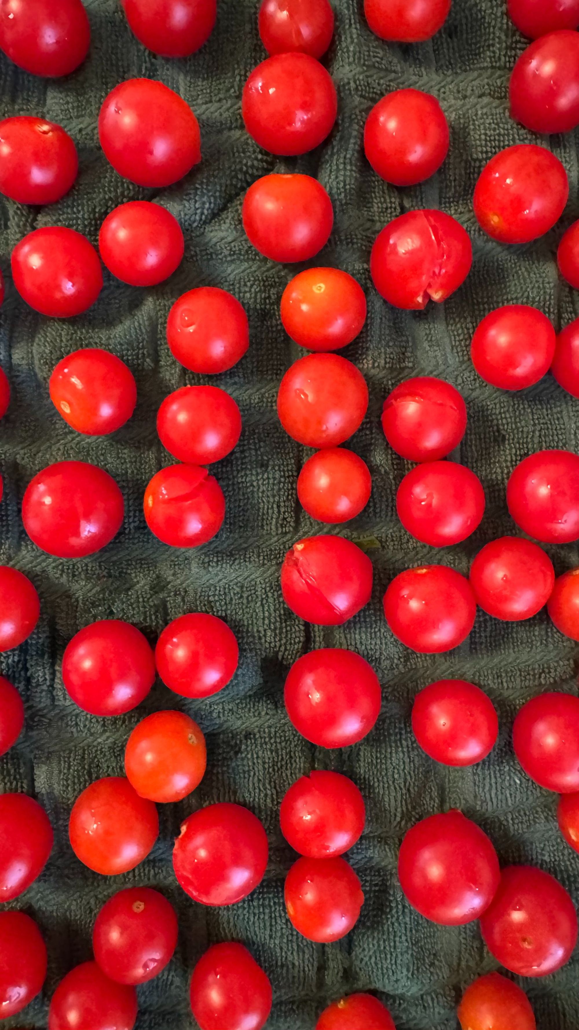 Maters Picked abd Washed