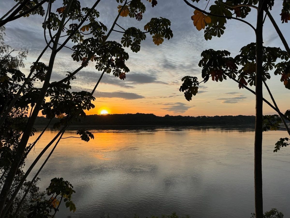 Three nights in the Amazon Rainforest