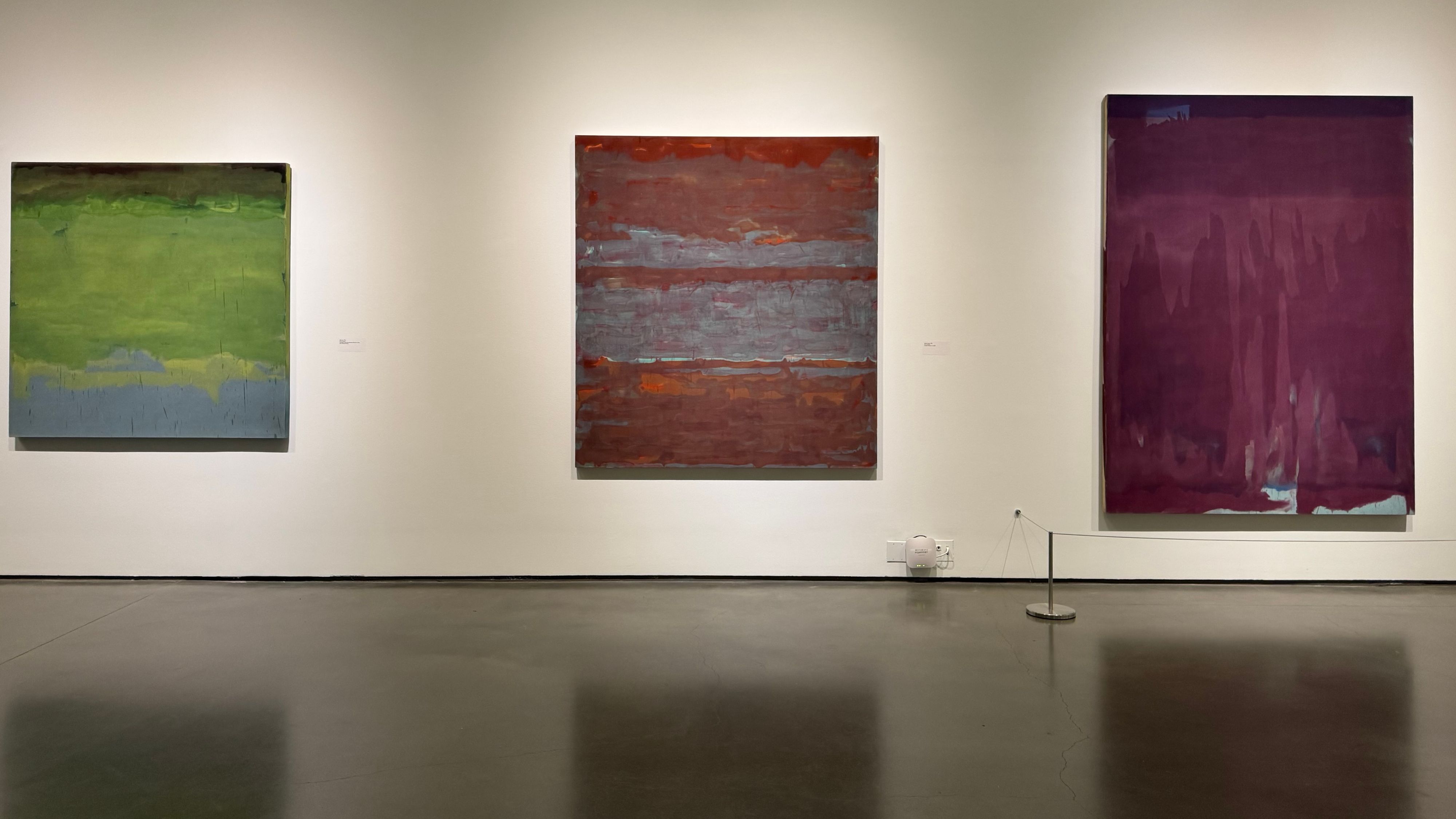 A selection of Jaramillo's stain paintings, in exhibit at the Bechtler
