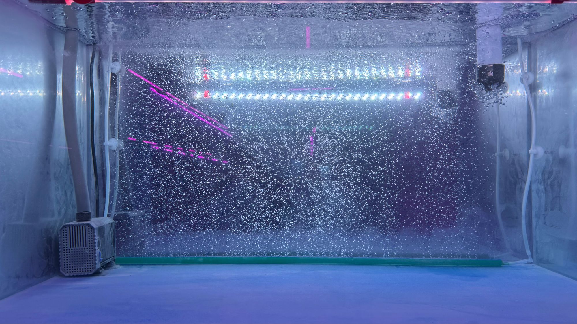 Interior of a bubbling aquarium installed as part of an art exhibition