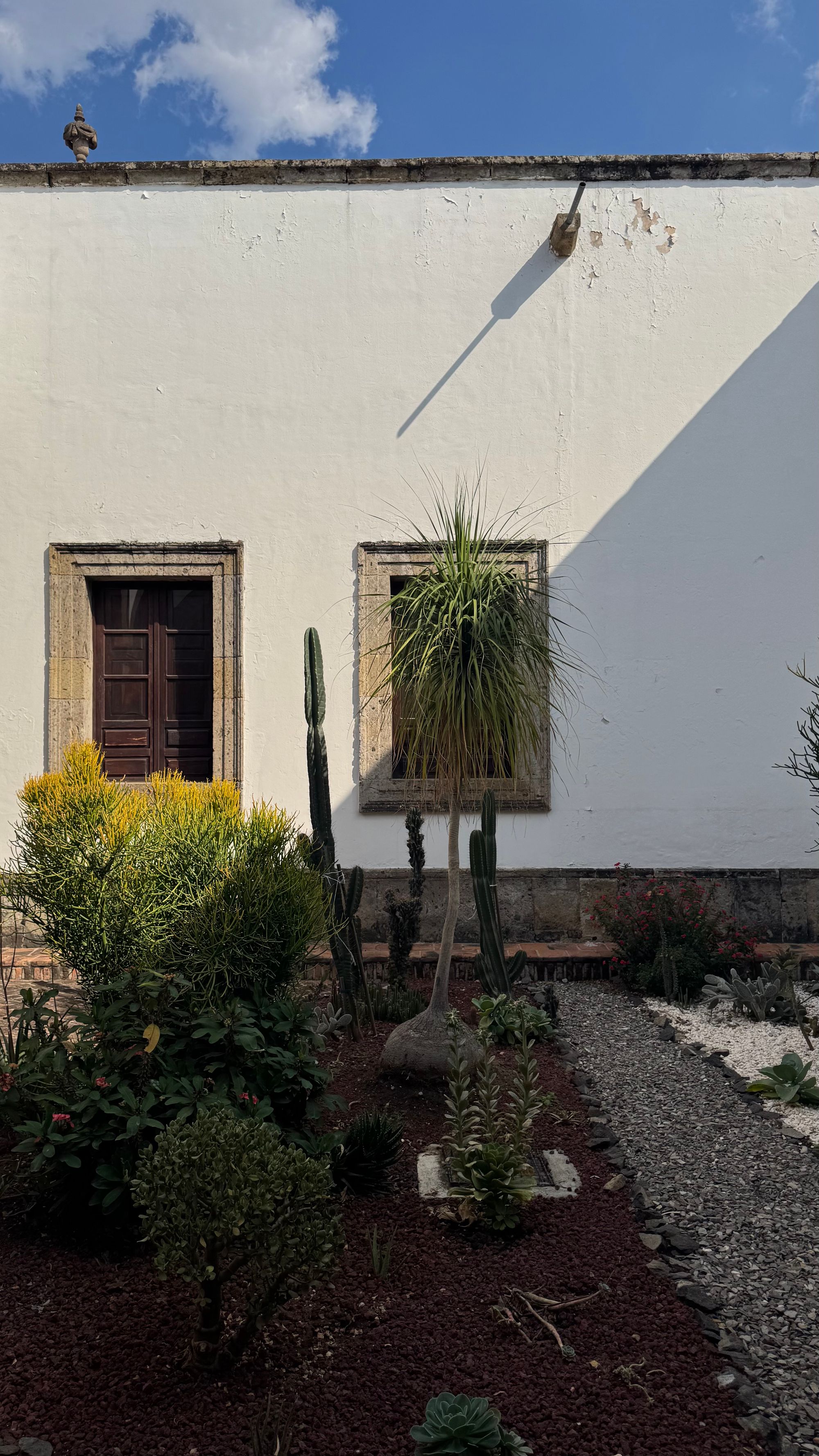 Sunlight falling into a courtyard at an angle worthy of Wes Anderson