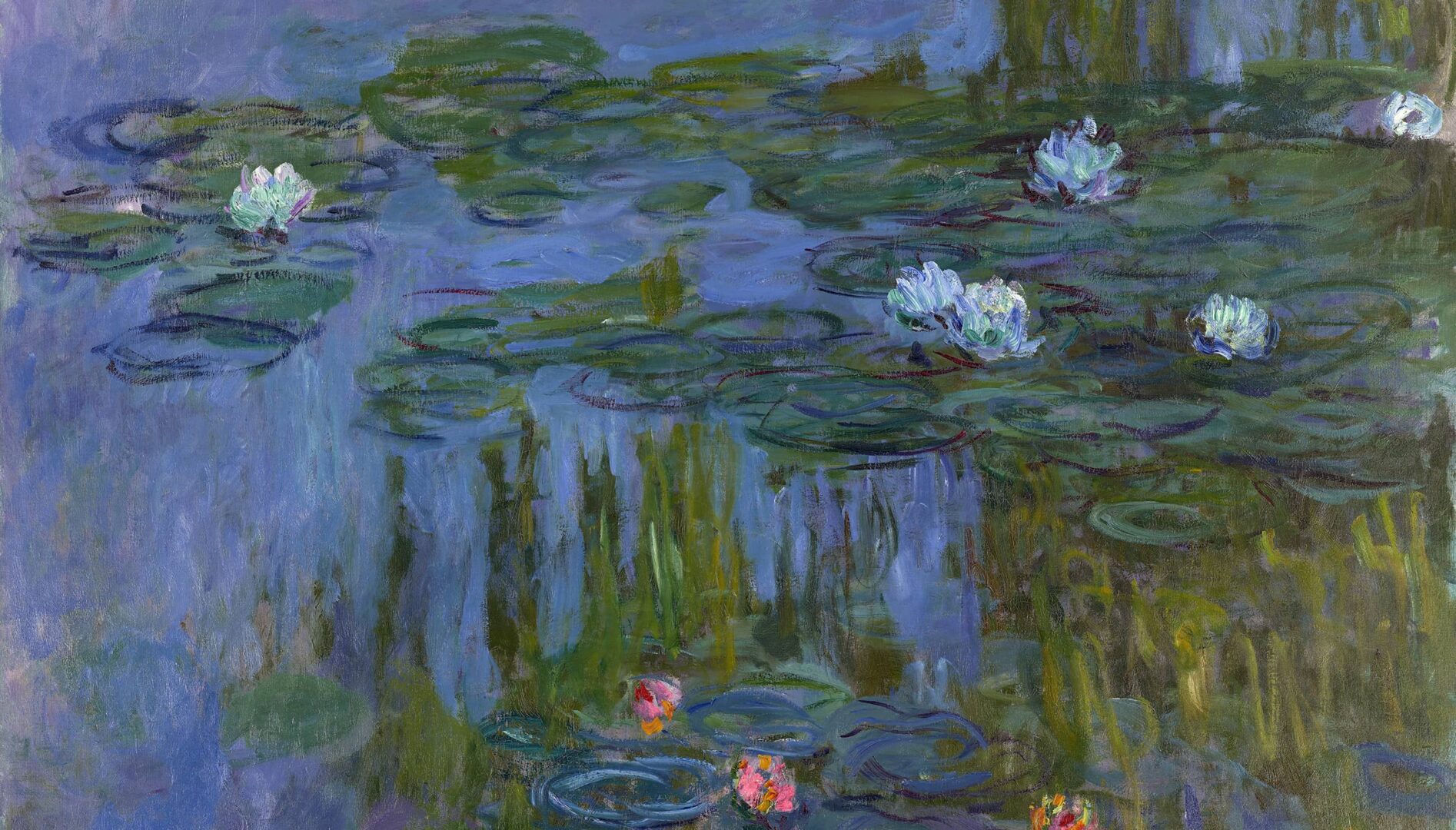 Visiting Monet at PAM