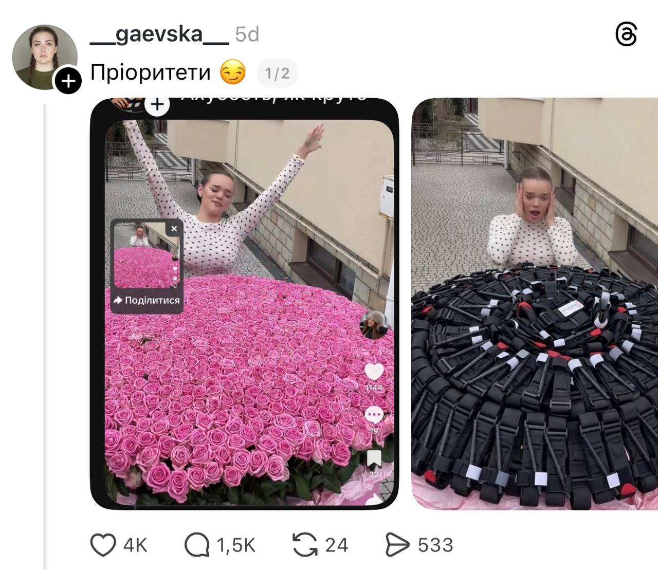 гаєвська лісіч що сталось