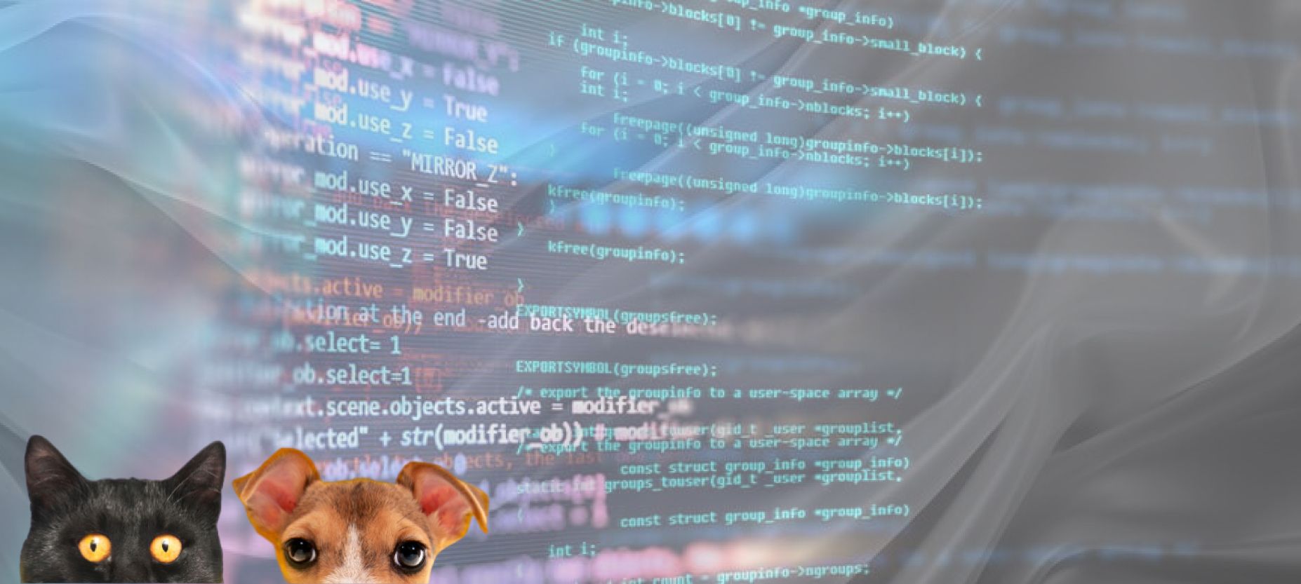 Українські IT-експерти допомагають перетворити ваш Pet Project на бізнес