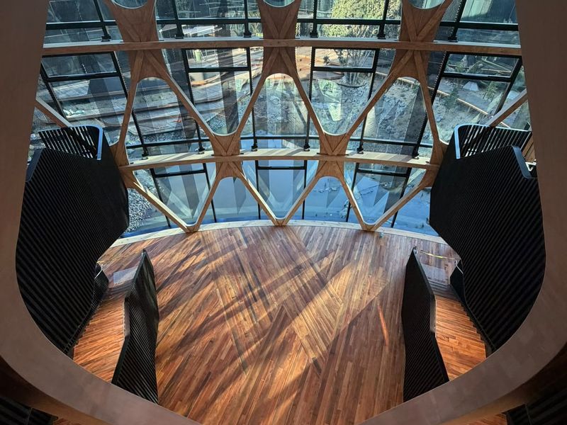Curved glazing and exposed mass-timber diagrid above the atrium floor at Fisher & Paykel's Penrose campus
