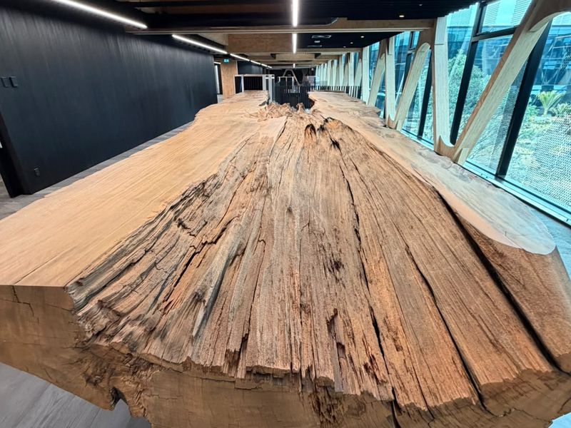 A 4,000-year-old swamp kauri slab forming a table that runs the length of the floor