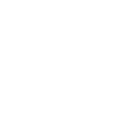 The Peel Institute (white variant)