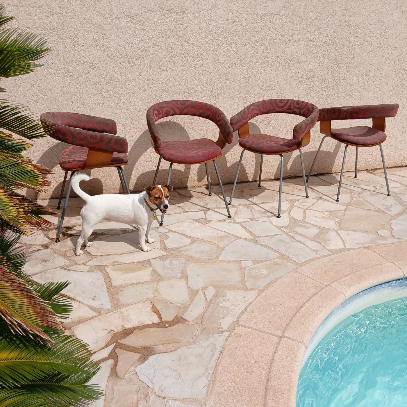 4 Chaises John Coleman