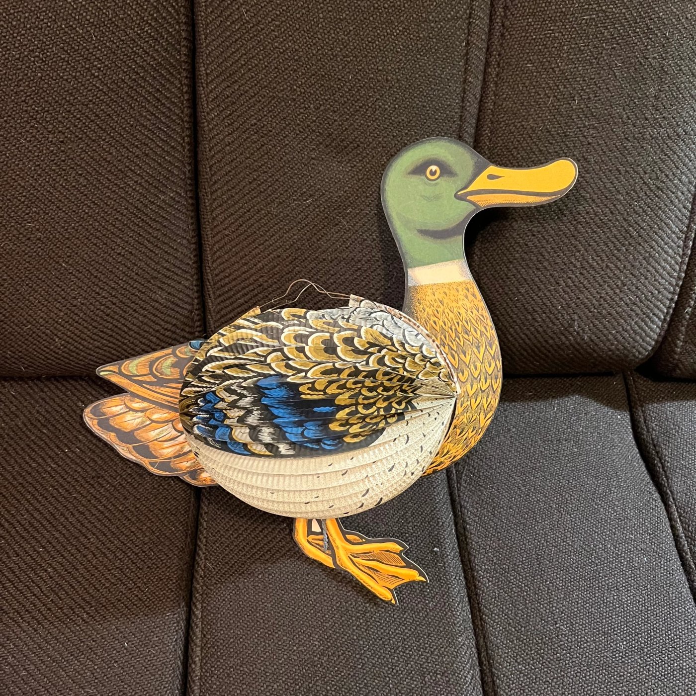 Lanterne canard