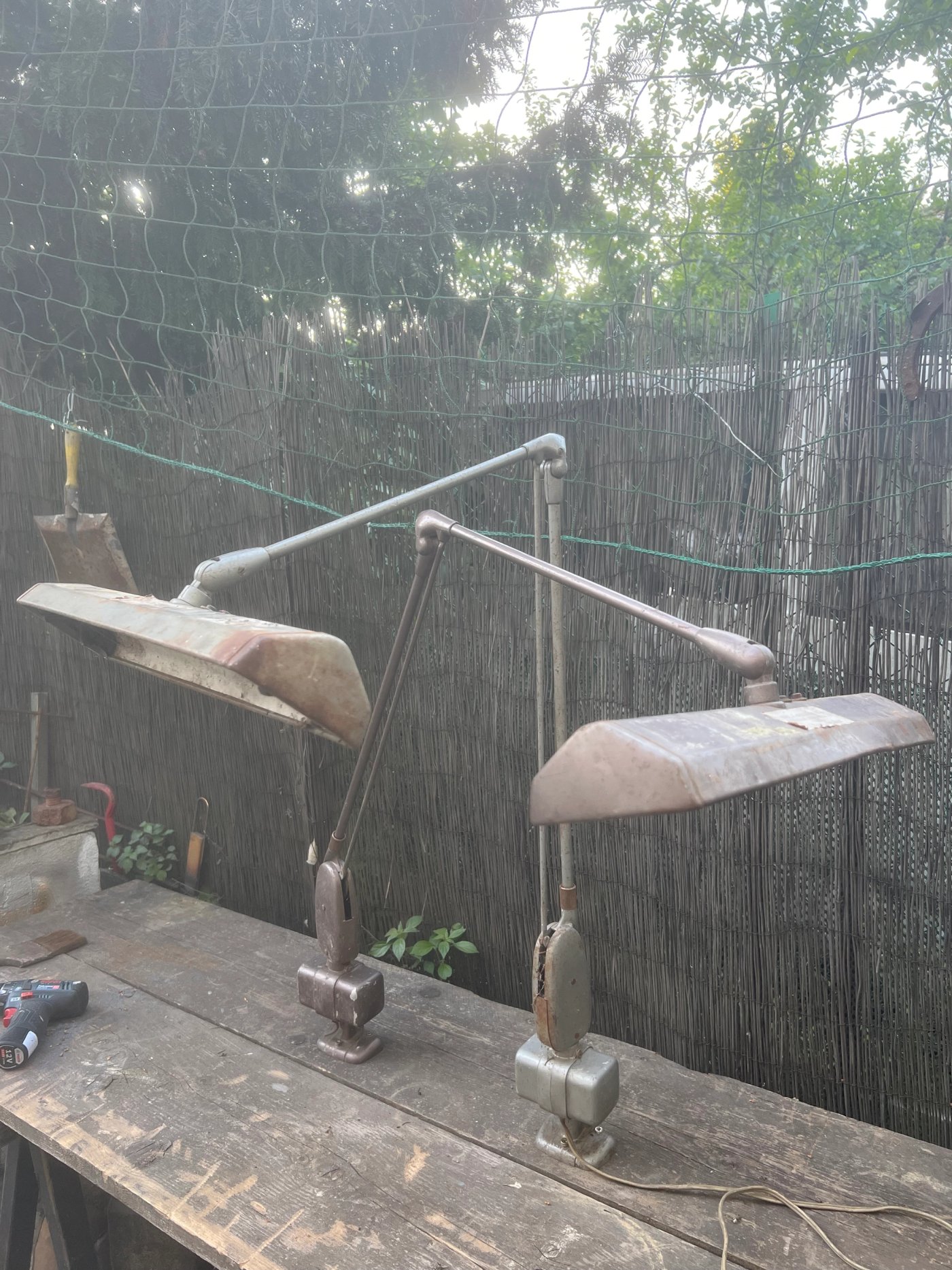 Lampes Dazor