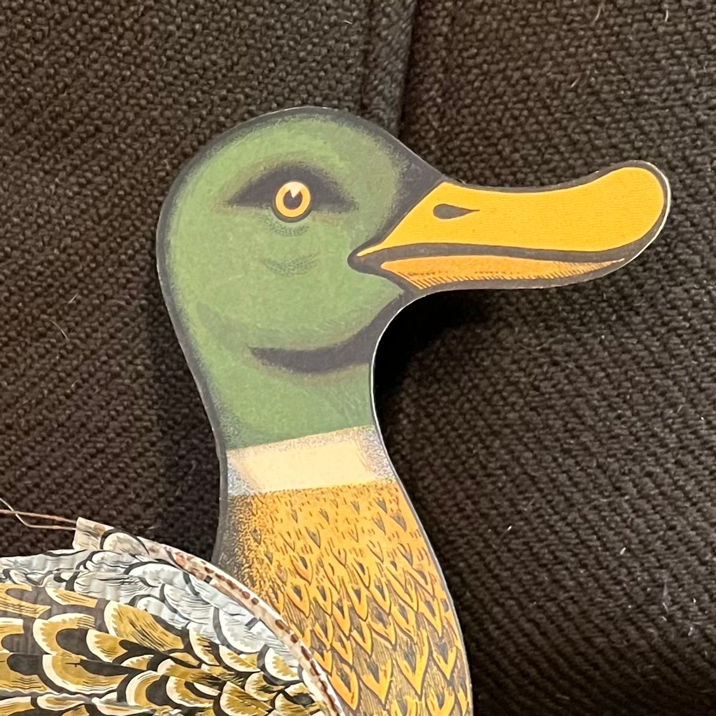 Lanterne canard
