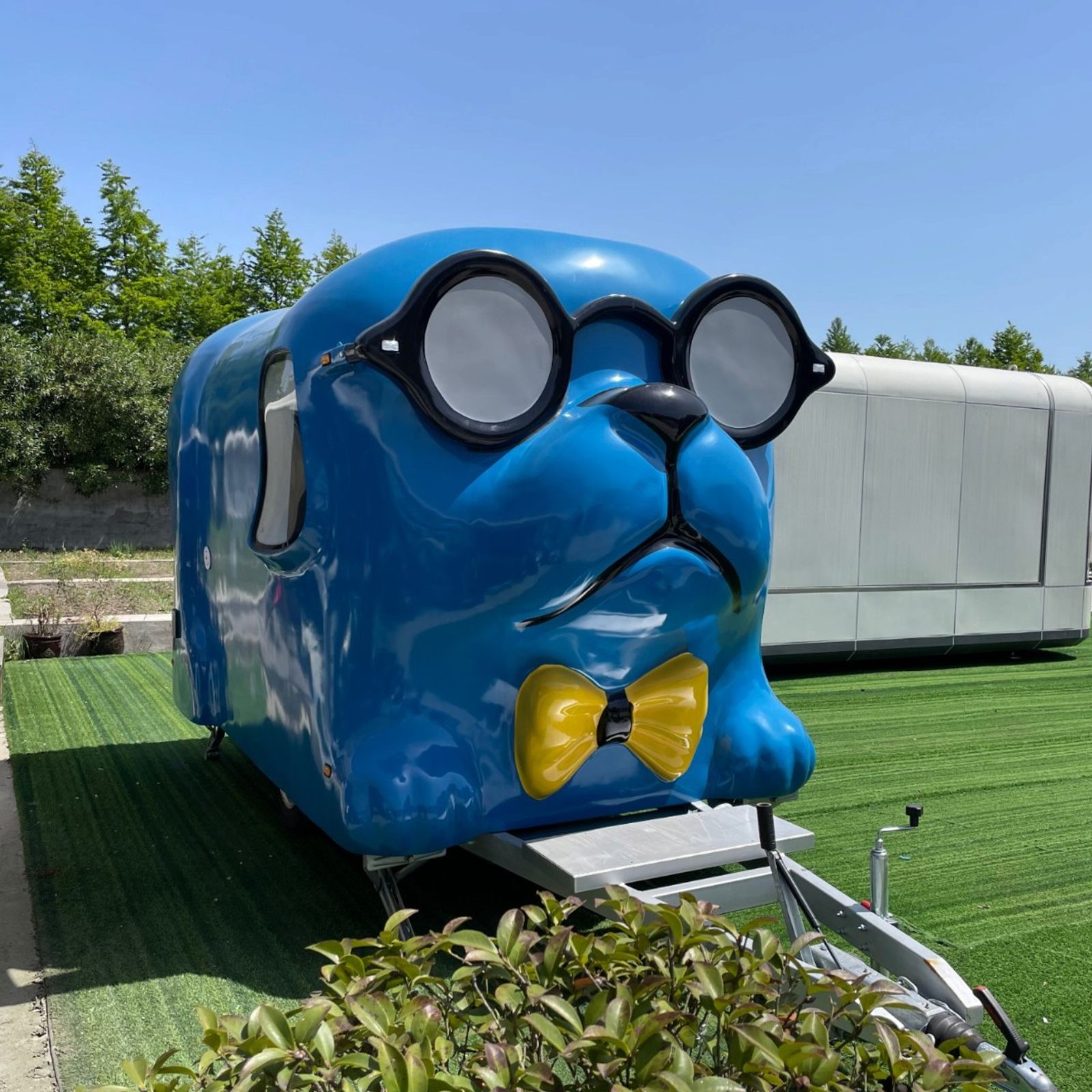 Dog Trailer photo 3