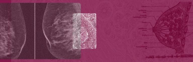 How Do I Know If I’m in Perimenopause or Menopause?