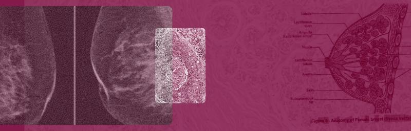 How Do I Know If I’m in Perimenopause or Menopause?