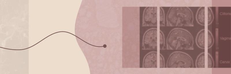 What You Might Not Know About the Female Orgasm