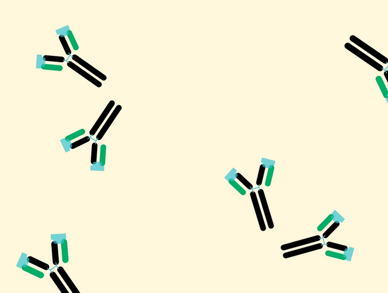 What's the Deal with Antibodies?