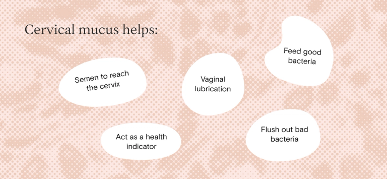 What your discharge is telling you: A Tia PhD on why you should get to know your cervical mucus What your discharge is telling you: A Tia PhD on why you should get to know your cervical mucus