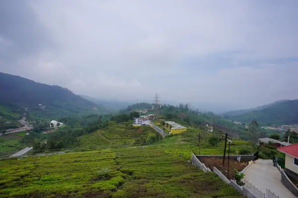View from the house