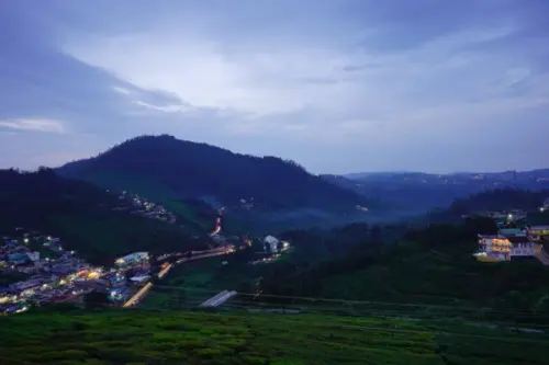 Amazing View