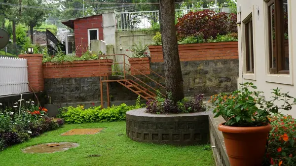 Lawn