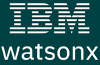 IBM Partner