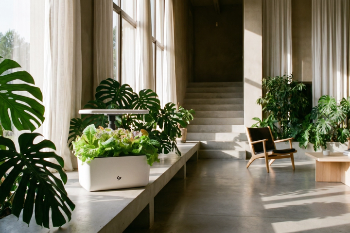 Indoor Herb Garden Starter Kit with LED Grow Light