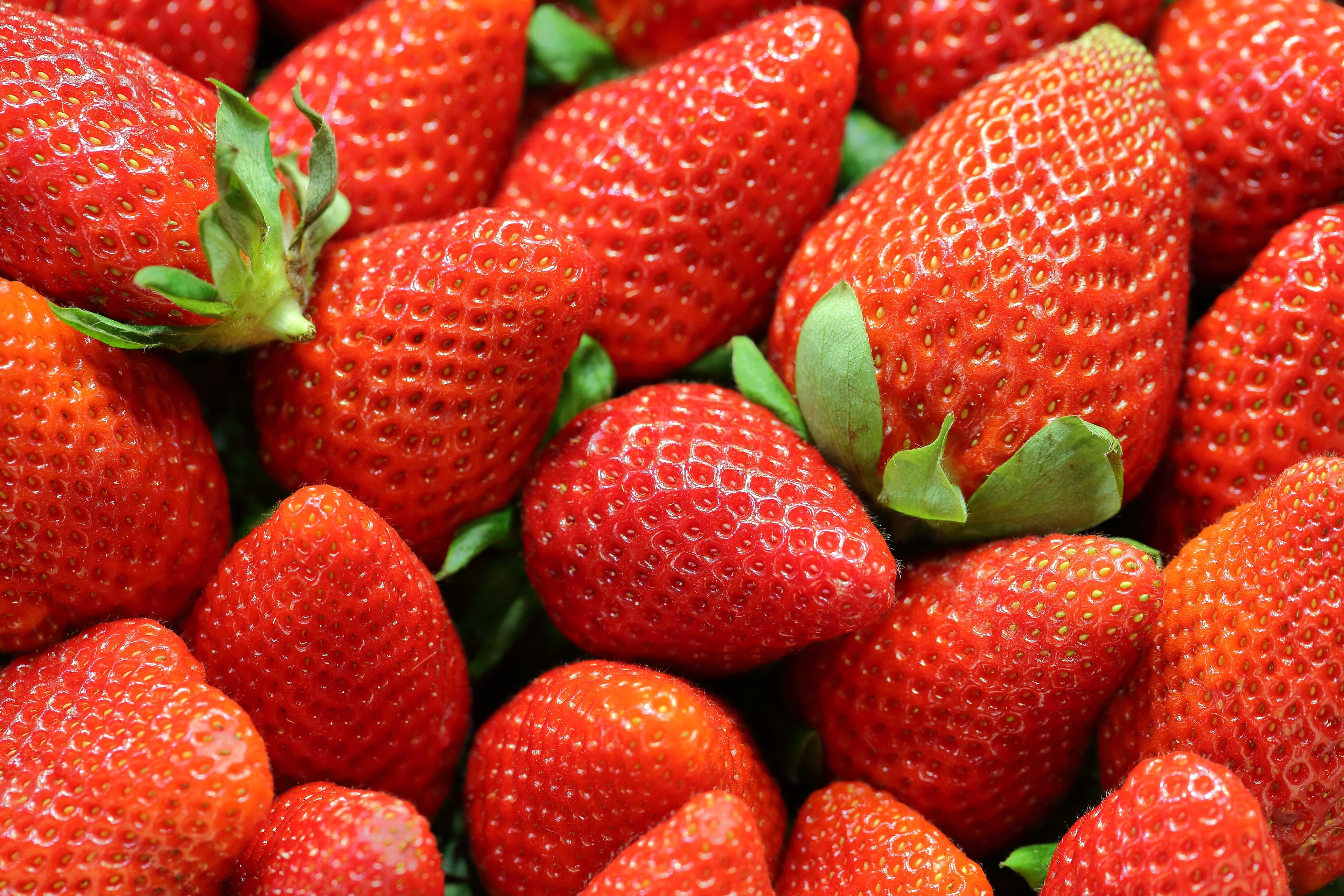 Den ultimative guide til opbevaring af jordbær