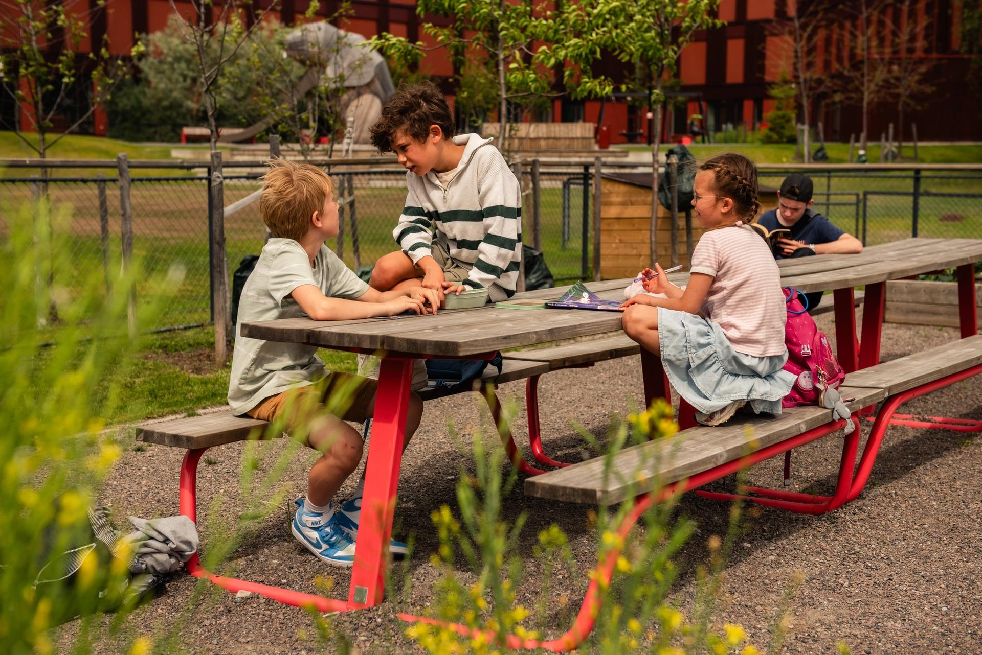BERG Picknick Tischbank