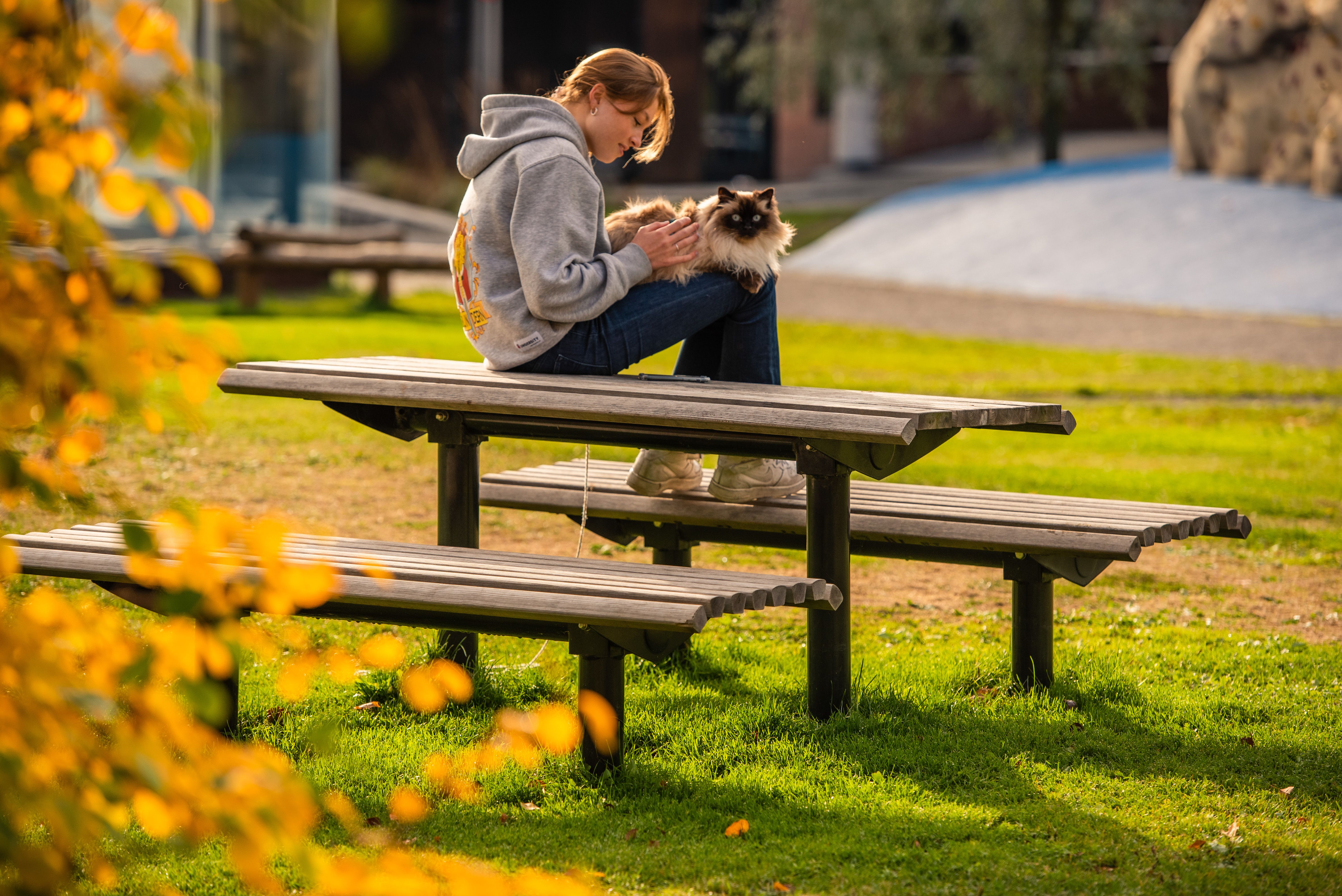 URBAN table